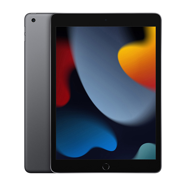 Case iPad Gen 10/11