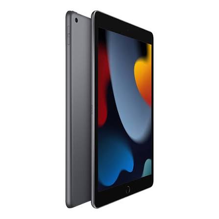Case iPad Gen 10/11